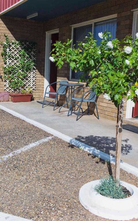 Camellia Motel 3*