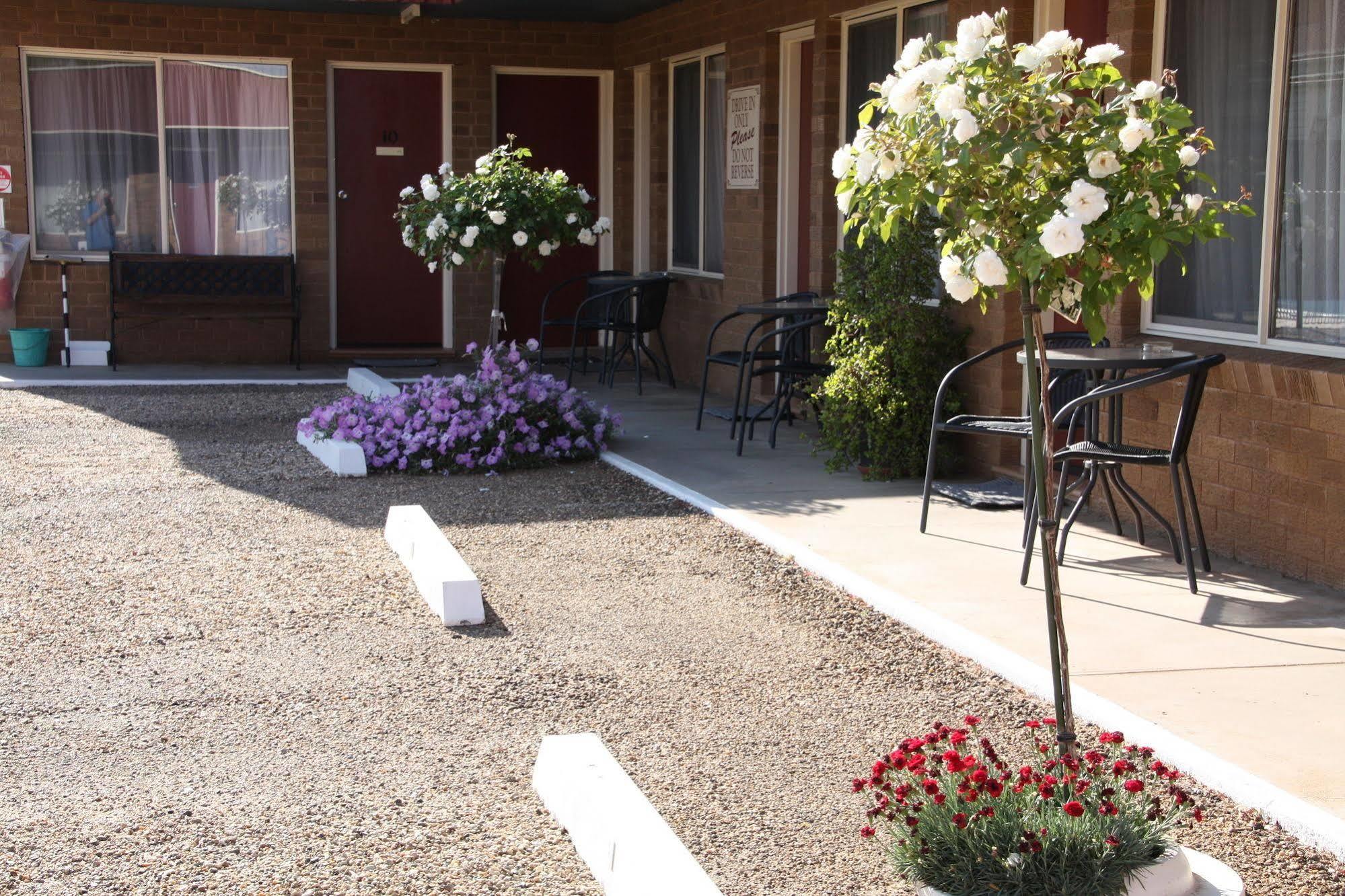 Camellia Motel